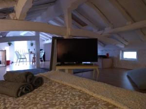 毕尔巴鄂Amets house的带平面电视的大型客厅