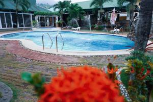 波尔多·格尼拉La Solana Suites and Resorts by Cocotel的庭院中一个带喷泉的游泳池