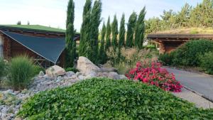 Chazey-sur-Ain马拉莫尔小木屋酒店的一座种有岩石和植物的花园
