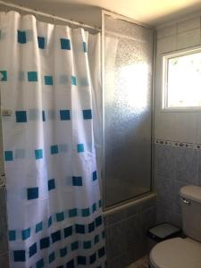 科伊艾科Patagon Backpackers的带淋浴帘和卫生间的浴室