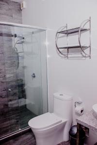 塔拉波托Palm Hotel Tarapoto的一间带卫生间和玻璃淋浴间的浴室