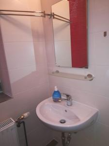 阿尔滕堡Kunstgasse 11 Wohnung 8的浴室设有白色水槽和镜子