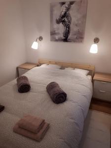 斯拉沃尼亚布罗德Apartman ANA的一间卧室配有一张床,上面有两条毛巾