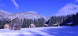 巴特奥塞Ferienwohnung Kirchschlager的雪覆盖的森林中的一群谷仓
