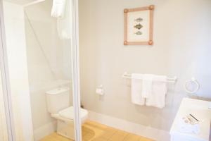 波高尔宾奥黛丽威尔金森葡萄园乡村民宿的带淋浴和卫生间的浴室