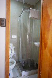 蓬塔阿雷纳斯Tel Hauke Hostal的带淋浴、卫生间和盥洗盆的浴室