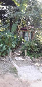 Ban Muang Pha湄林之家旅馆的花园中的小房子