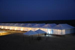 山姆Sky Desert Safari & Spa的夜晚沙漠中一排白色帐篷