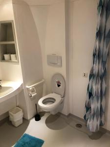 斯德哥尔摩STF加姆博住宿旅舍的一间浴室