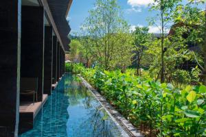 蔻立Kalima Resort and Villas Khao Lak - SHA EXTRA PLUS的相册照片