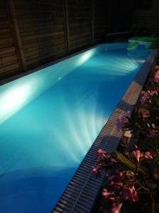 巴拉通尤洛克Villa Pelso的游泳池在晚上点亮,花朵 ⁇ 