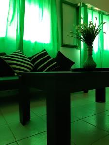 福尔摩沙TODO EL CENTRO A TUS PIES的绿色的客房设有一张带花瓶的沙发