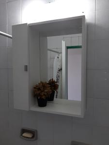 福尔摩沙TODO EL CENTRO A TUS PIES的浴室设有镜子和盆栽植物