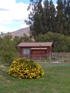 伊斯拉德迈波Cabaña Amor的前面有黄花的灌木丛的房子