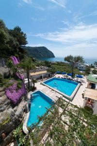 伊斯基亚比安卡别墅酒店的游泳池的顶部景色,背景是大海