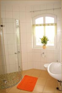 里布尼茨达姆加滕Landhotel zum Honigdieb的带淋浴、卫生间和盥洗盆的浴室