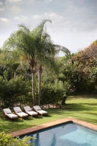 德班Teremok Lodge & Spa的一个带2把躺椅和棕榈树的游泳池