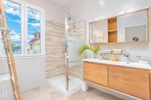 法兰西堡Foyal Suites的一间带水槽和淋浴的浴室