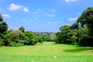 内罗毕温莎高尔夫酒店及乡村俱乐部的高尔夫球场的绿色景致
