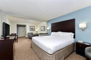 坦帕坦帕洛基波恩特岛快捷假日&套房酒店的一间酒店客房,配有一张大床和一台平面电视