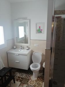 摩亚Mary's Home的一间带卫生间、水槽和镜子的浴室