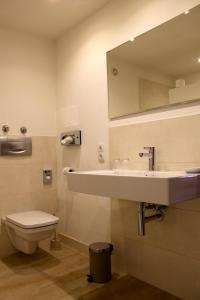 达姆施塔特多纳斯伯格酒店的一间带水槽、卫生间和镜子的浴室