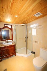 龙胜龙脊平安假日酒店的带淋浴、卫生间和盥洗盆的浴室