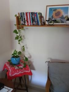DorBeit Haner Moshav Dor的书架上挂着植物的桌子