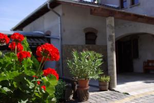 DabasDabasi Lovas Vendégház的前面有红花的房子