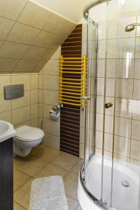 下乌斯奇基Noclegi u Kiesza的带淋浴、卫生间和盥洗盆的浴室
