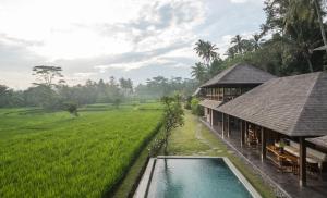 乌布Benisari Batik Garden Cottage的一座别墅,设有一座游泳池,毗邻一个稻田