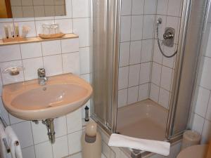 新乌尔姆加尼施密德酒店的一间带水槽和淋浴的浴室