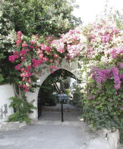 皮斯索里葡萄园宾馆的粉红色花卉拱门和停车计