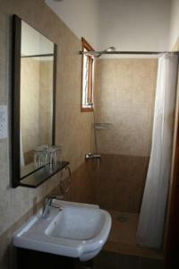 皮斯索里葡萄园宾馆的浴室配有盥洗盆和带镜子的淋浴