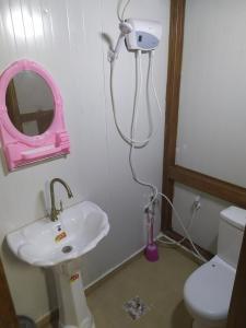 纳布卢斯Success Hostel的一间带水槽、镜子和卫生间的浴室