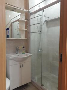 第比利斯Ann's Apartment的一间带玻璃淋浴和水槽的浴室