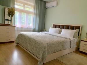 撒马尔罕Samarkand Apartment的一间卧室设有一张大床和一个窗户。