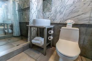 迈阿密海滩切斯特菲尔德酒店&套房的一间带卫生间和水槽的浴室