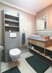 霍恩埃姆斯Business Apartments的一间带卫生间、水槽和镜子的浴室