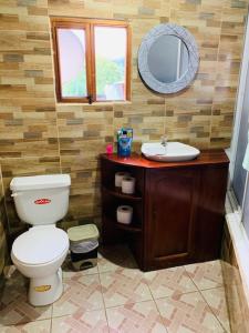 BaezaHostal La Casa De Rodrigo的一间带卫生间、水槽和镜子的浴室