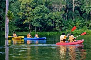 塞友桂河宏普德酒店的一群人划着皮艇在河上