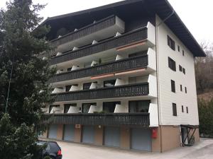 萨菲登安斯泰内嫩米尔Appartement Hochkönigreich的相册照片