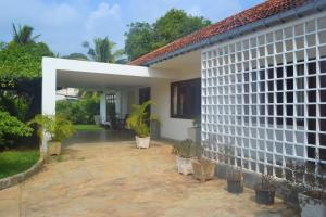 贾夫纳Jaffna Heritage Villa的前面有盆栽植物的白色房子