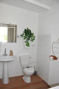 圣弗朗索瓦Hostellerie des châteaux的白色的浴室设有卫生间和水槽。