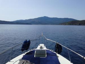 圣雷莫Sanremo charter boat and breakfast的相册照片