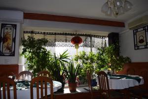 索非亚 萨尔雅思克贝瑟达酒店的用餐室设有植物桌子和窗户