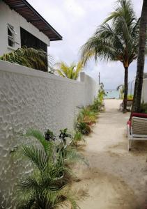 特鲁欧克比赫斯简易居旅馆的棕榈树和海洋建筑旁的走道