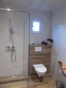 De BeemsterBeemster Oase的一间带卫生间和玻璃淋浴间的浴室