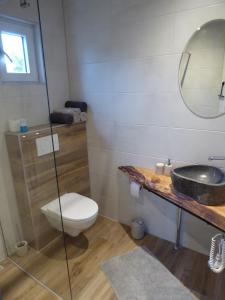 De BeemsterBeemster Oase的一间带卫生间、水槽和镜子的浴室