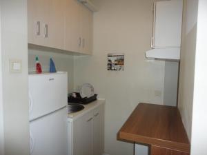 贝尔格莱德Autokomanda的小厨房配有白色冰箱和水槽